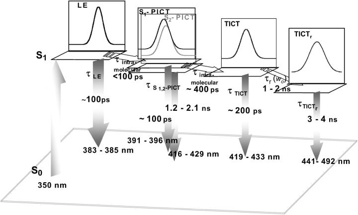 FIGURE 12