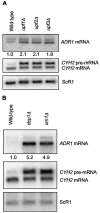 FIG. 6.
