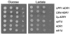FIG. 8.