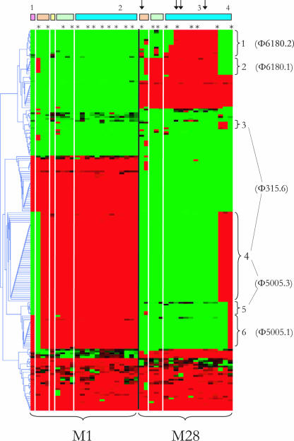 FIG. 1.