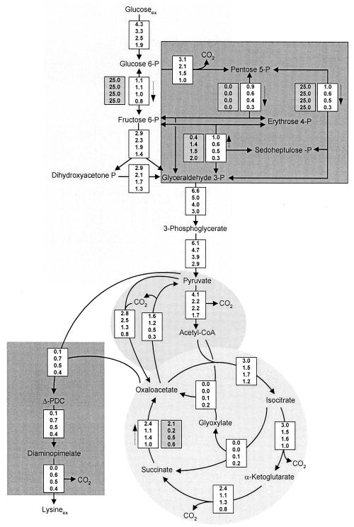 FIG. 4.