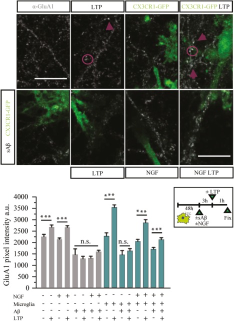 Figure 14