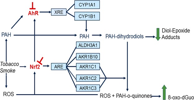 Figure 14