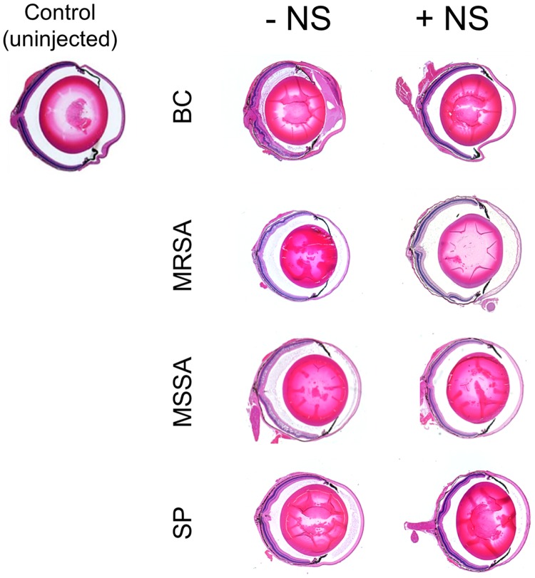 FIG 3