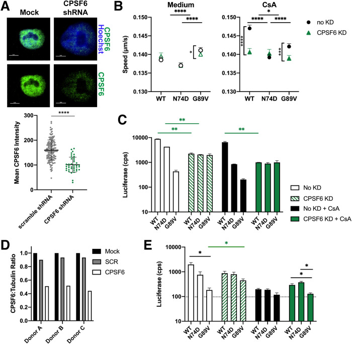 FIG 6