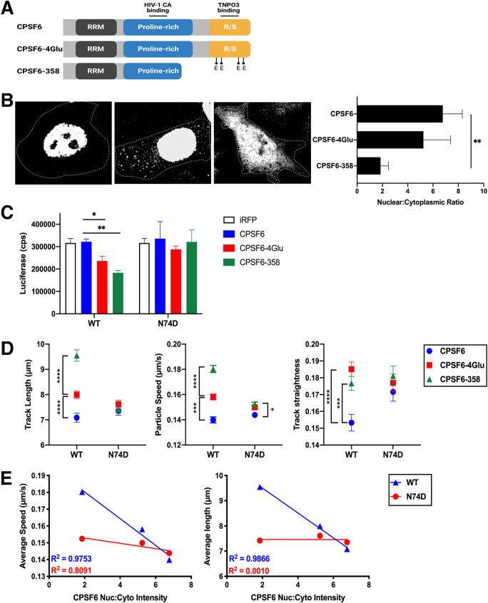 FIG 3