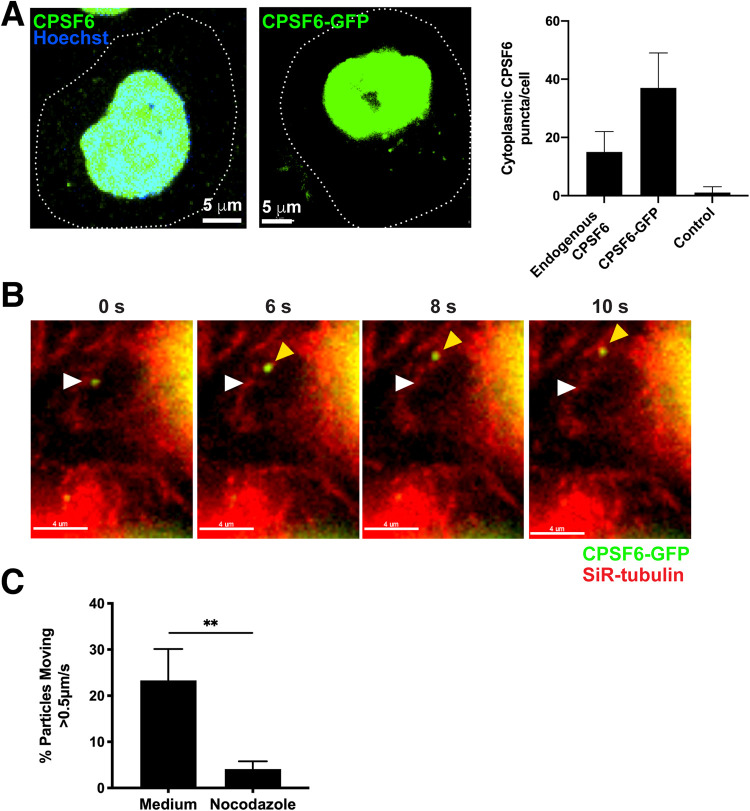 FIG 1