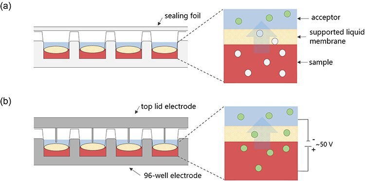 Figure 2.