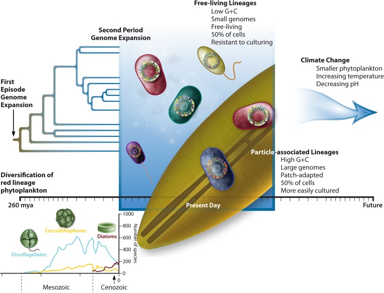 FIG 2