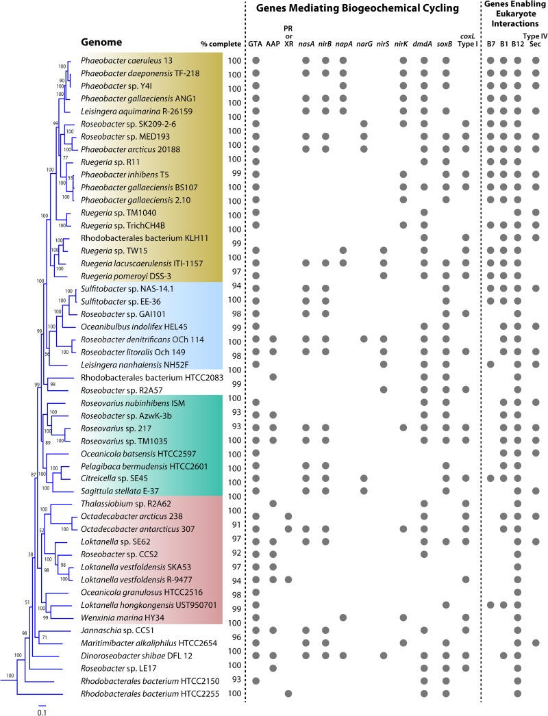 FIG 1