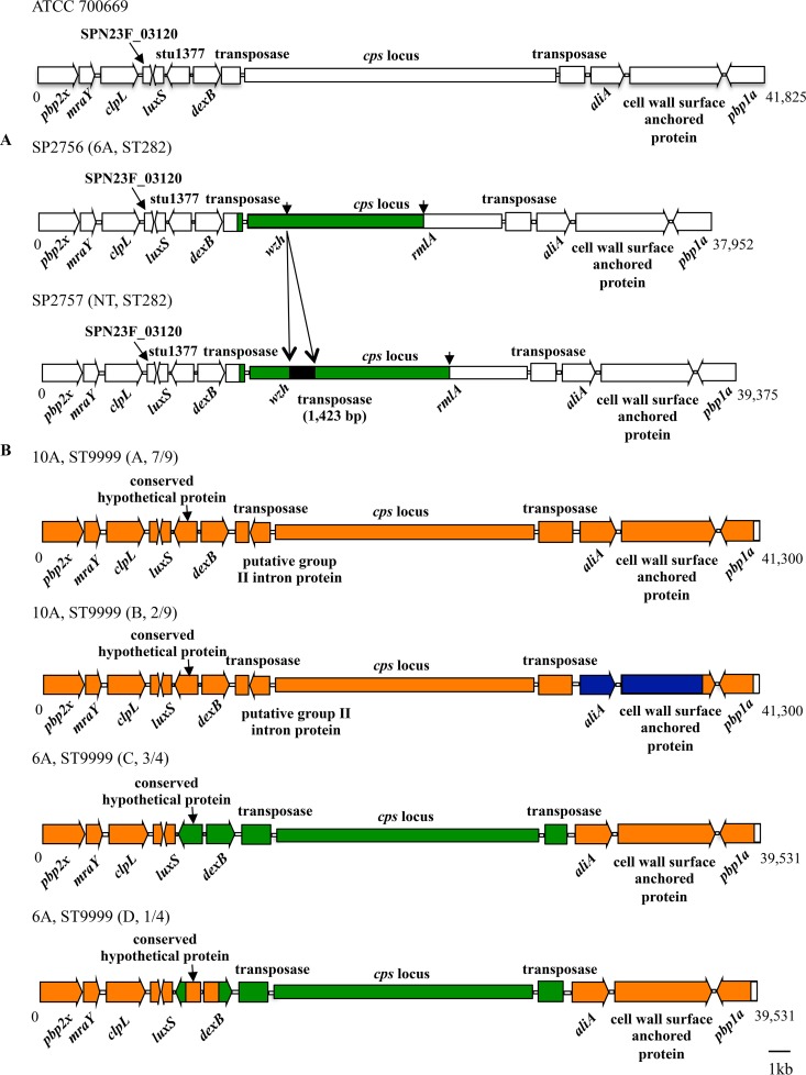 FIG 3