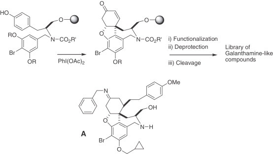 Scheme 2