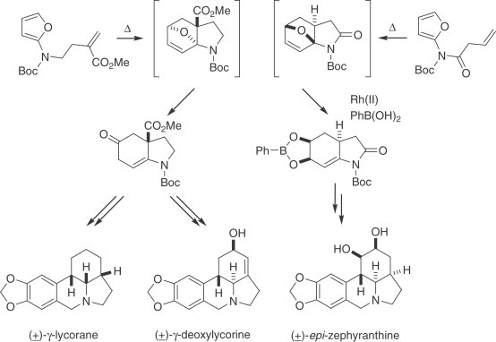 Scheme 12