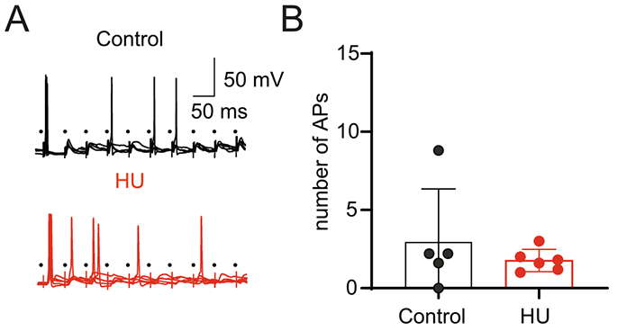 Fig. 9.