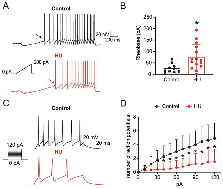 Fig. 7.