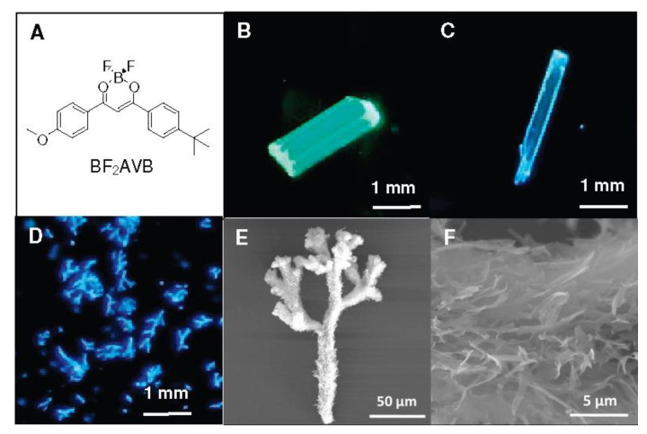 Figure 13