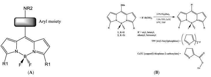 Scheme 1