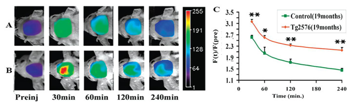 Figure 10