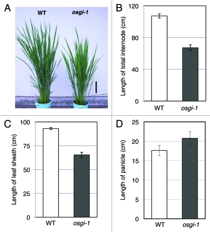 Figure 3.