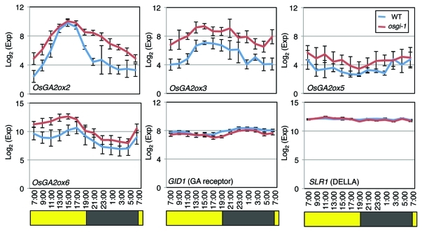 Figure 2.