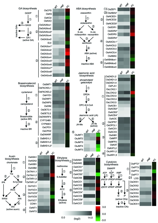 Figure 1.