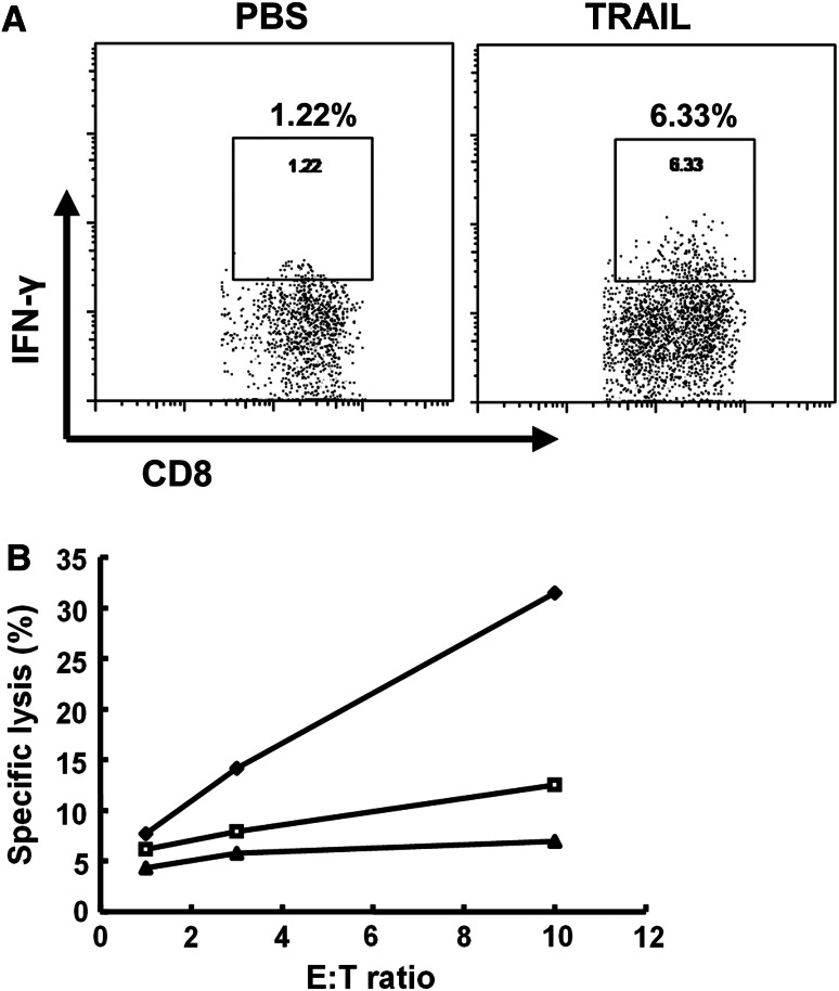 Fig. 5