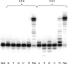 Figure 5.