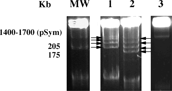 FIG. 5.