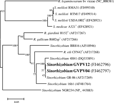 FIG. 6.