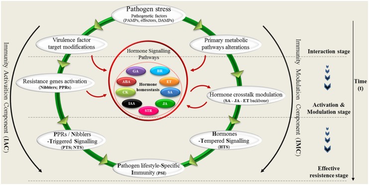 FIGURE 2