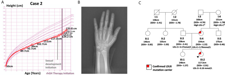 Figure 2
