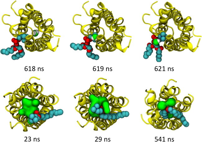 Figure 6