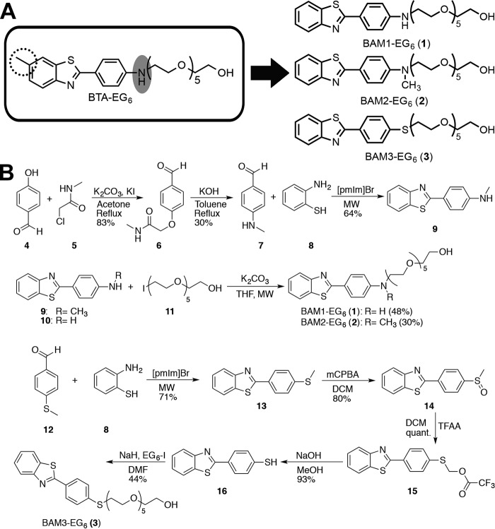 FIGURE 1.