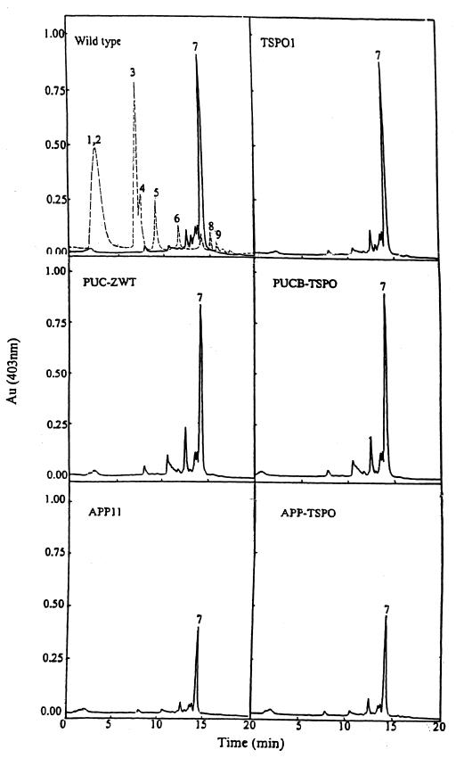 FIG. 4