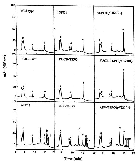 FIG. 5