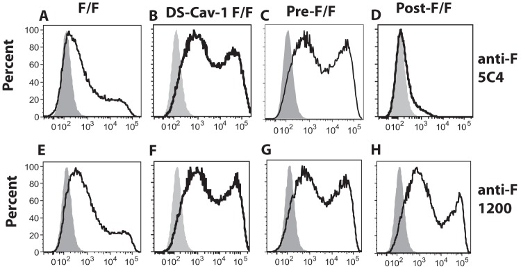 FIG 2