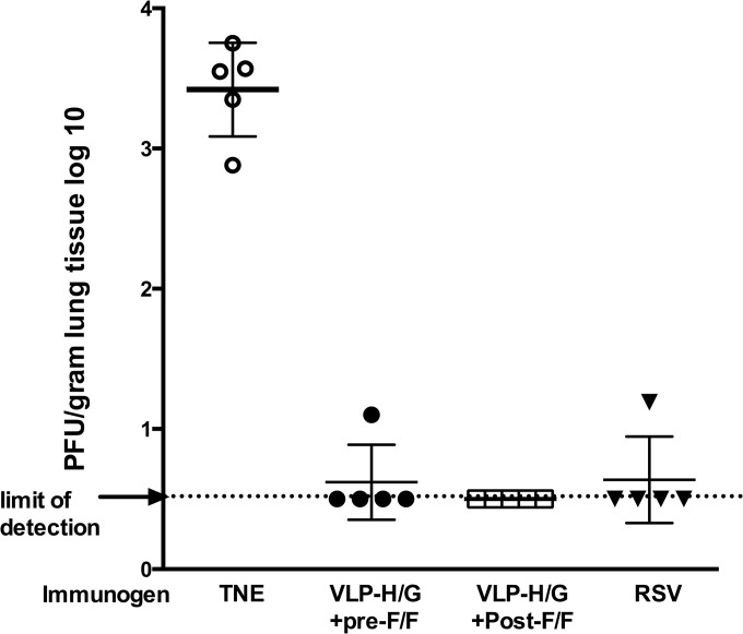 FIG 10