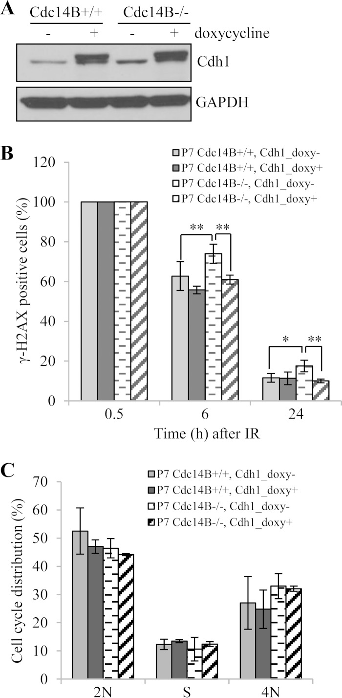 FIG 6