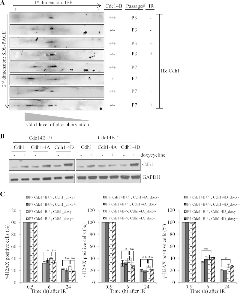 FIG 7