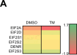 Figure 4—figure supplement 4.