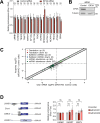 Figure 2—figure supplement 2.