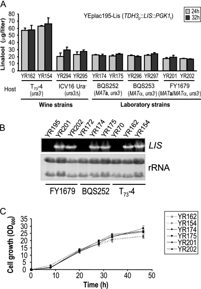 FIG. 2.