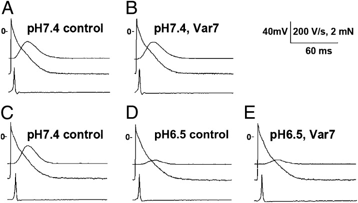 Fig. 5.