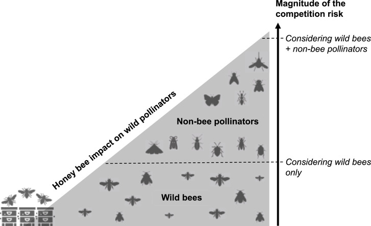 Image, graphical abstract