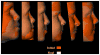 Fig 9