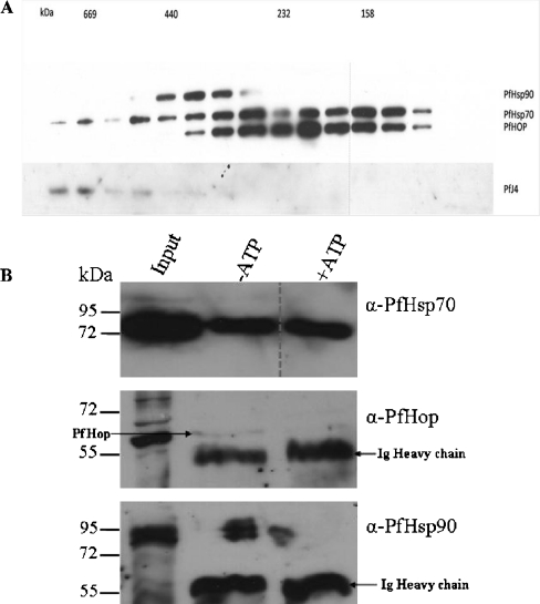 Fig. 5