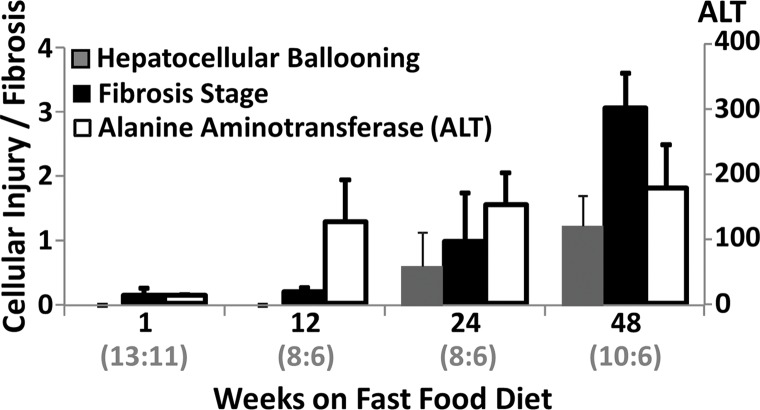 Figure 4e: