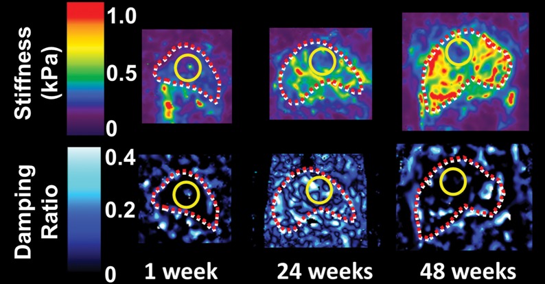 Figure 4b: