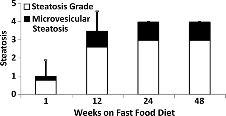 Figure 4c: