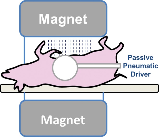 Figure 1b: